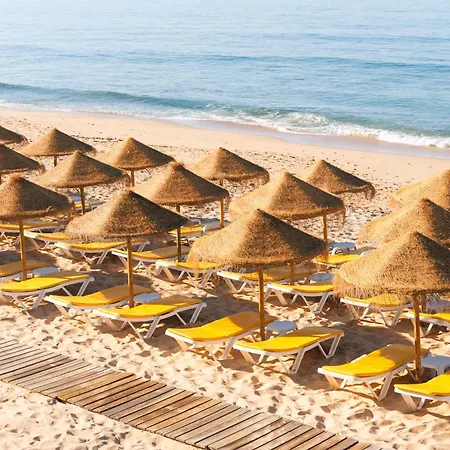 Eden & アルブフェイラ